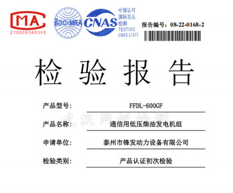 玉柴600KW檢驗報告 檢測報告